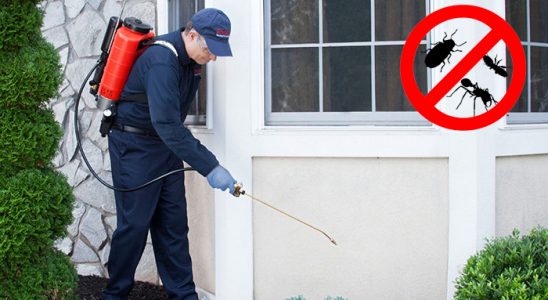 Helvacı Uçan Haşere İlaçlama böcek ilaçlama ve haşere kontrolü — ilaclama-tr.com